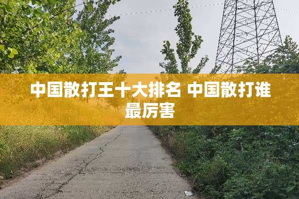 中国散打王十大排名 中国散打谁最厉害