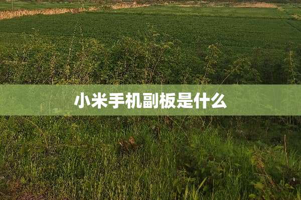 小米手机副板是什么