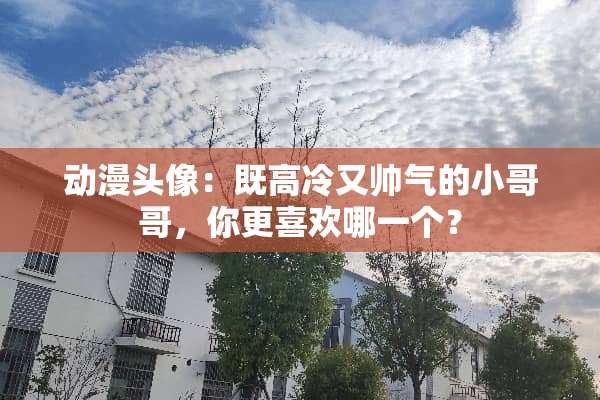 动漫头像：既高冷又帅气的小哥哥，你更喜欢哪一个？