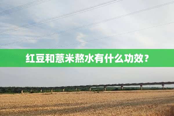 红豆和薏米熬水有什么功效？