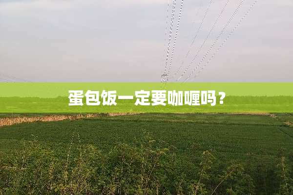 蛋包饭一定要咖喱吗？