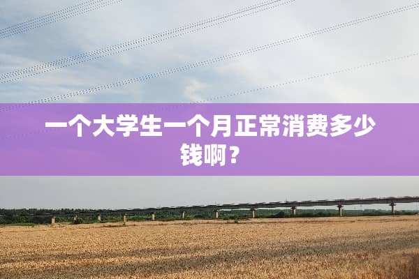一个大学生一个月正常消费多少钱啊？
