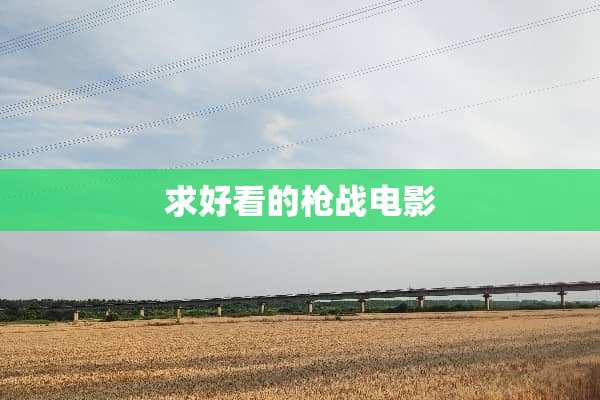 求好看的*战电影