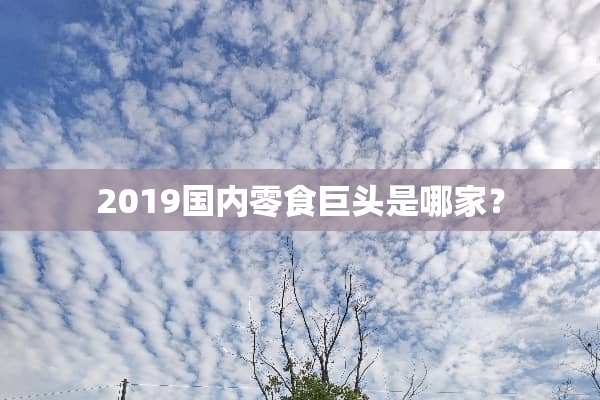 2019国内零食巨头是哪家？