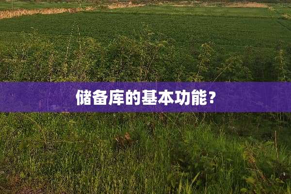 储备库的基本功能？