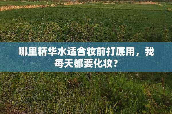 哪里精华水适合妆前打底用，我每天都要化妆？