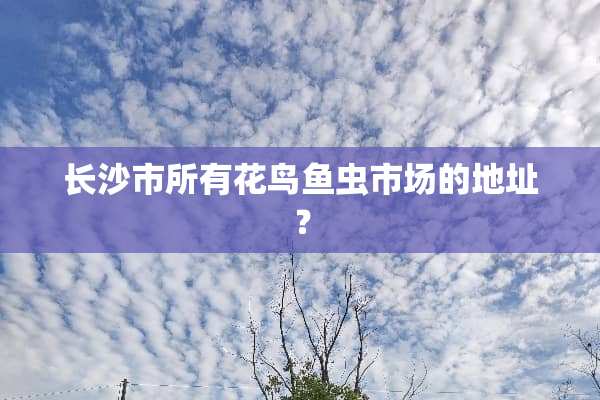 长沙市所有花鸟鱼虫市场的地址？