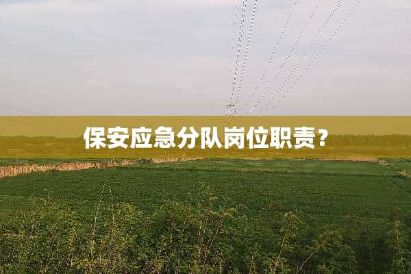 保安应急分队岗位职责？