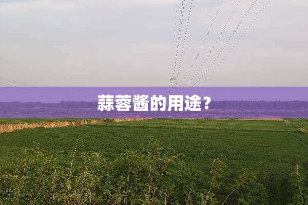 蒜蓉酱的用途？