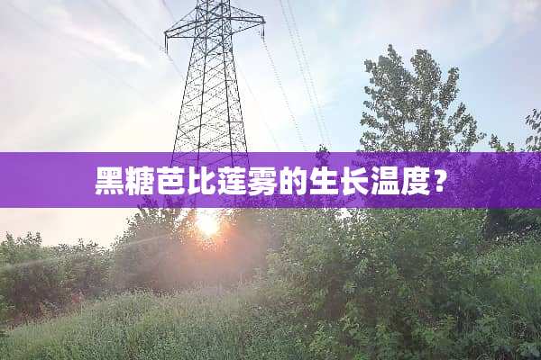 黑糖芭比莲雾的生长温度？