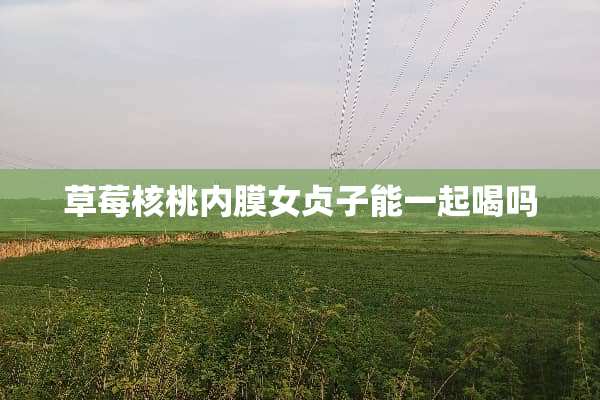 草莓核桃内膜女贞子能一起喝吗