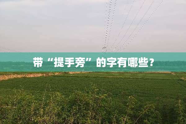 带“提手旁”的字有哪些？