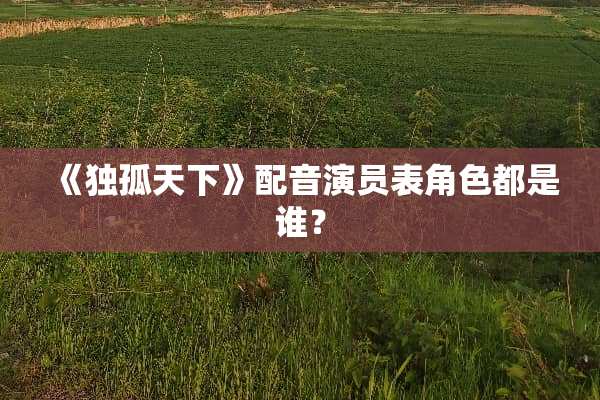 《独孤天下》配音演员表角色都是谁？