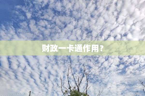 财政一卡通作用？