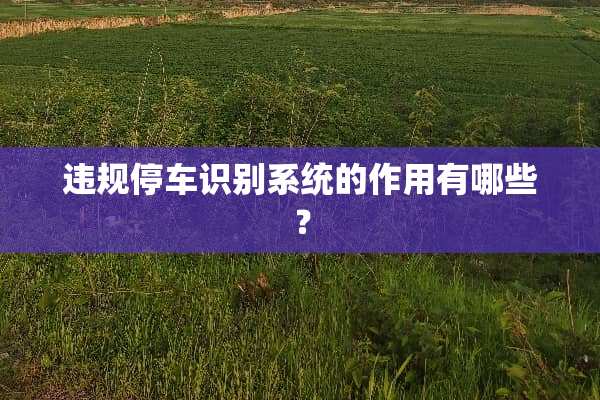 违规停车识别系统的作用有哪些？