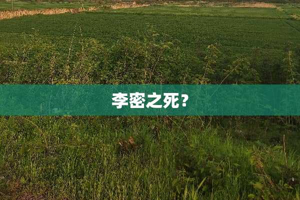 李密之死？