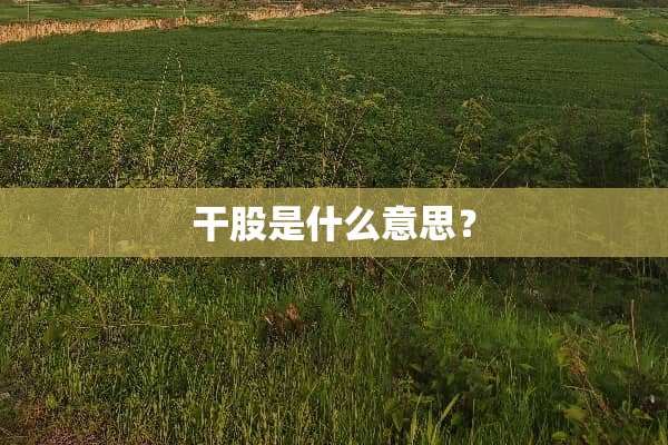干股是什么意思？