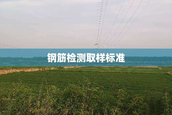 钢筋检测取样标准