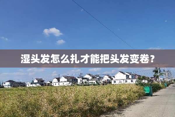 湿头发怎么扎才能把头发变卷？