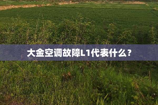 大金空调故障L1代表什么？