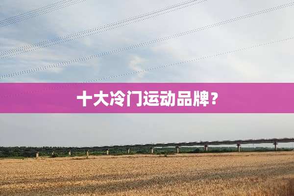 十大冷门运动品牌？