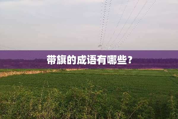 带旗的成语有哪些？