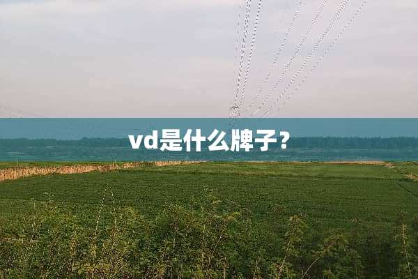 vd是什么牌子？