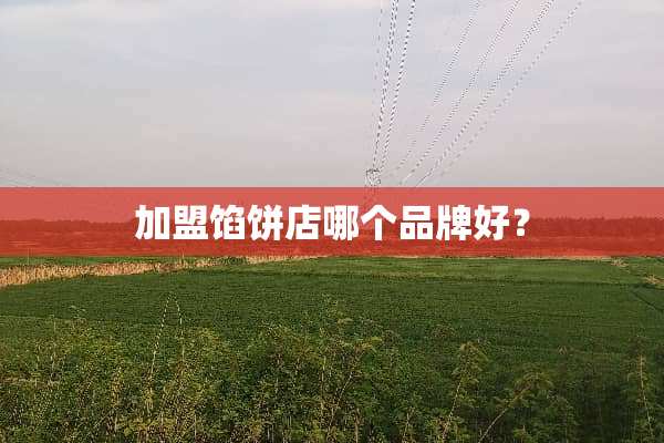 加盟馅饼店哪个品牌好？
