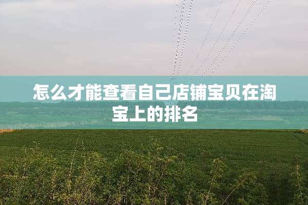 怎么才能查看自己店铺宝贝在淘宝上的排名