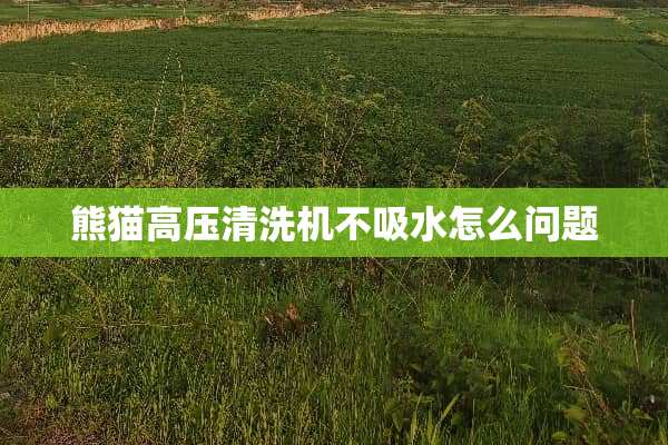 熊猫高压清洗机不吸水怎么问题