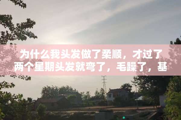 为什么我头发做了柔顺，才过了两个星期头发就弯了，毛躁了，基本上效果就没了？