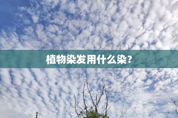 植物染发用什么染？