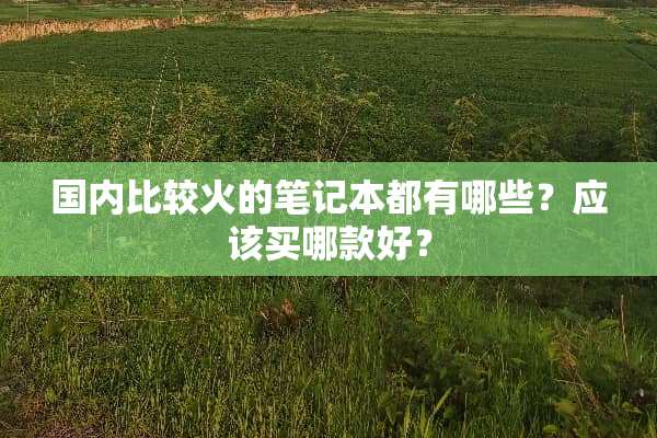 国内比较火的笔记本都有哪些？应该买哪款好？