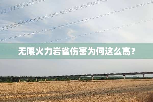 无限火力岩雀伤害为何这么高？