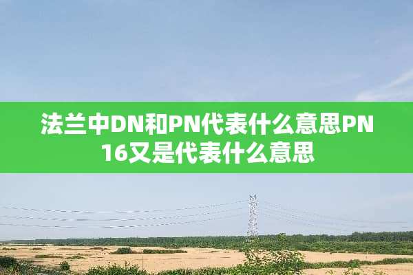 法兰中DN和PN代表什么意思PN16又是代表什么意思