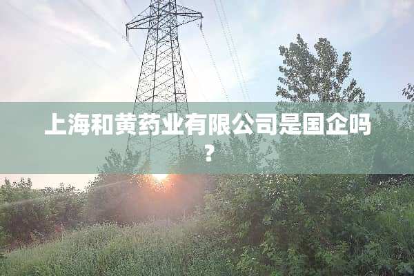 上海和黄药业有限公司是国企吗？