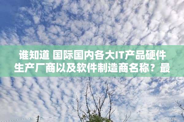 谁知道 国际国内各大IT产品硬件生产厂商以及软件制造商名称？最好有排名——加分