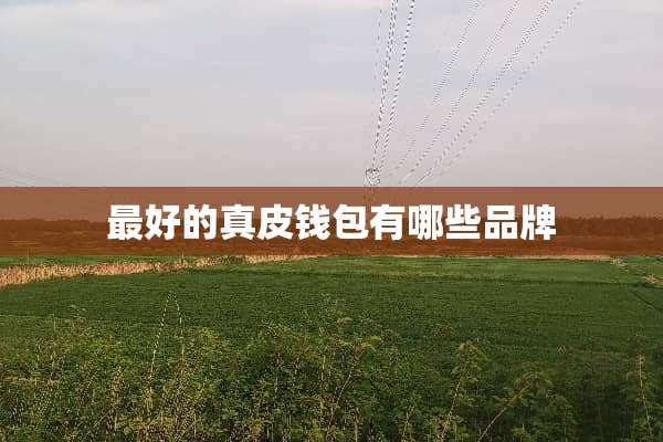 最好的真皮钱包有哪些品牌