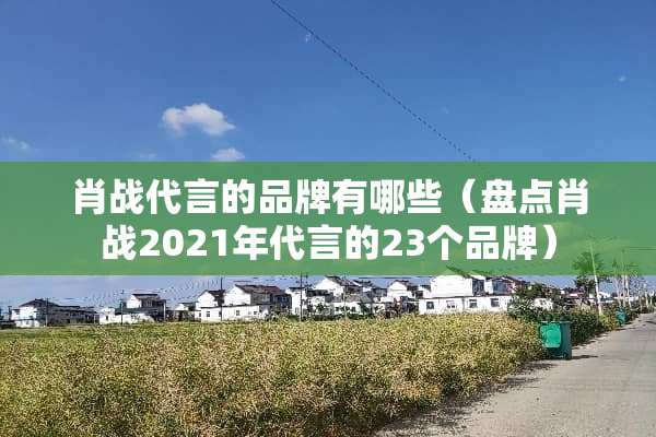 肖战代言的品牌有哪些（盘点肖战2021年代言的23个品牌）