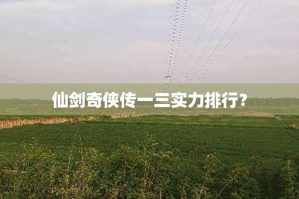 仙剑奇侠传一三实力排行？