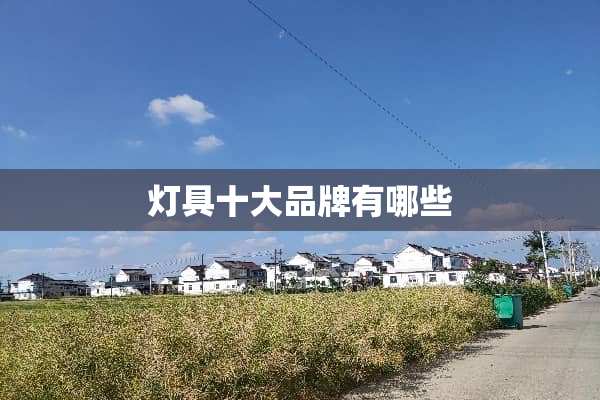 灯具十大品牌有哪些