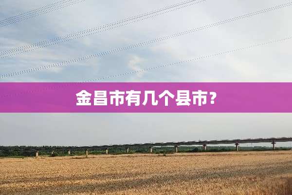金昌市有几个县市？
