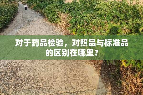 对于药品检验，对照品与标准品的区别在哪里？
