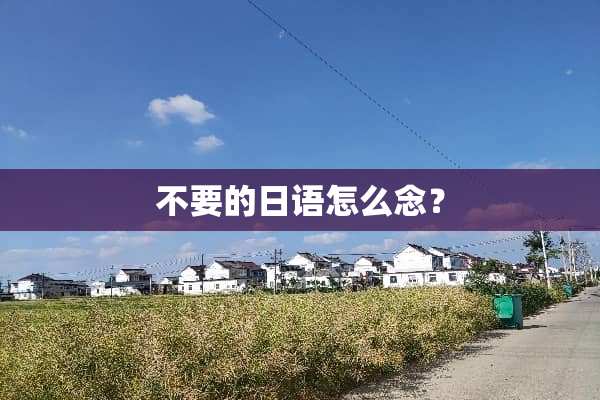 不要的日语怎么念？