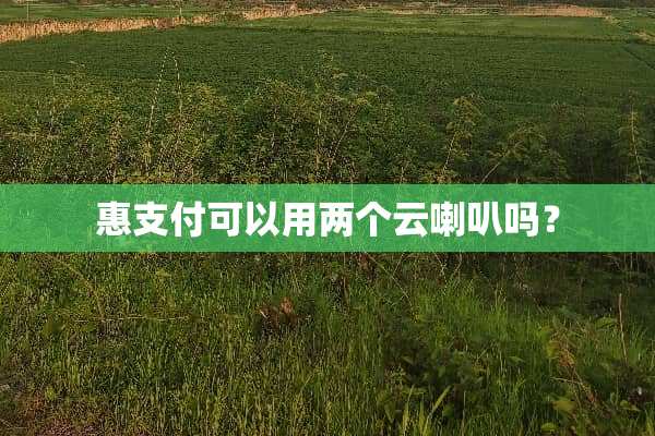惠支付可以用两个云喇叭吗？