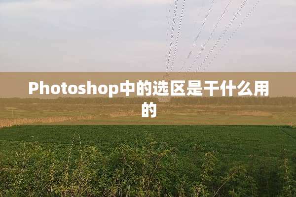 Photoshop中的选区是干什么用的