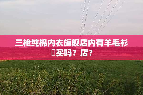 三*纯棉**旗舰店内有羊毛衫䃿买吗？店？
