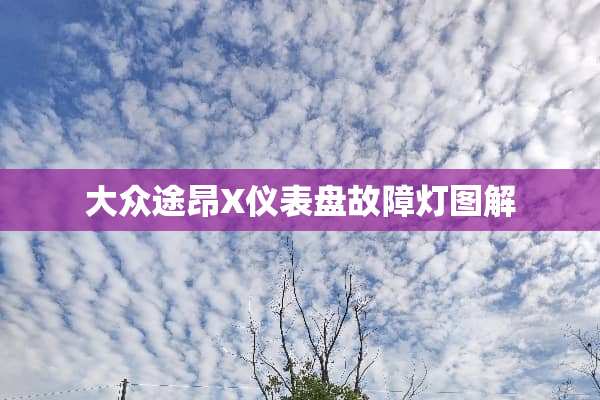 大众途昂X仪表盘故障灯图解