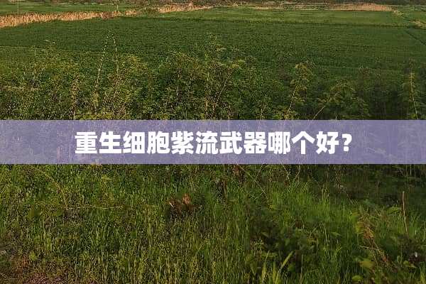 重生细胞紫流**哪个好？