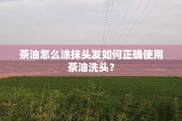 茶油怎么涂抹头发如何正确使用茶油洗头？